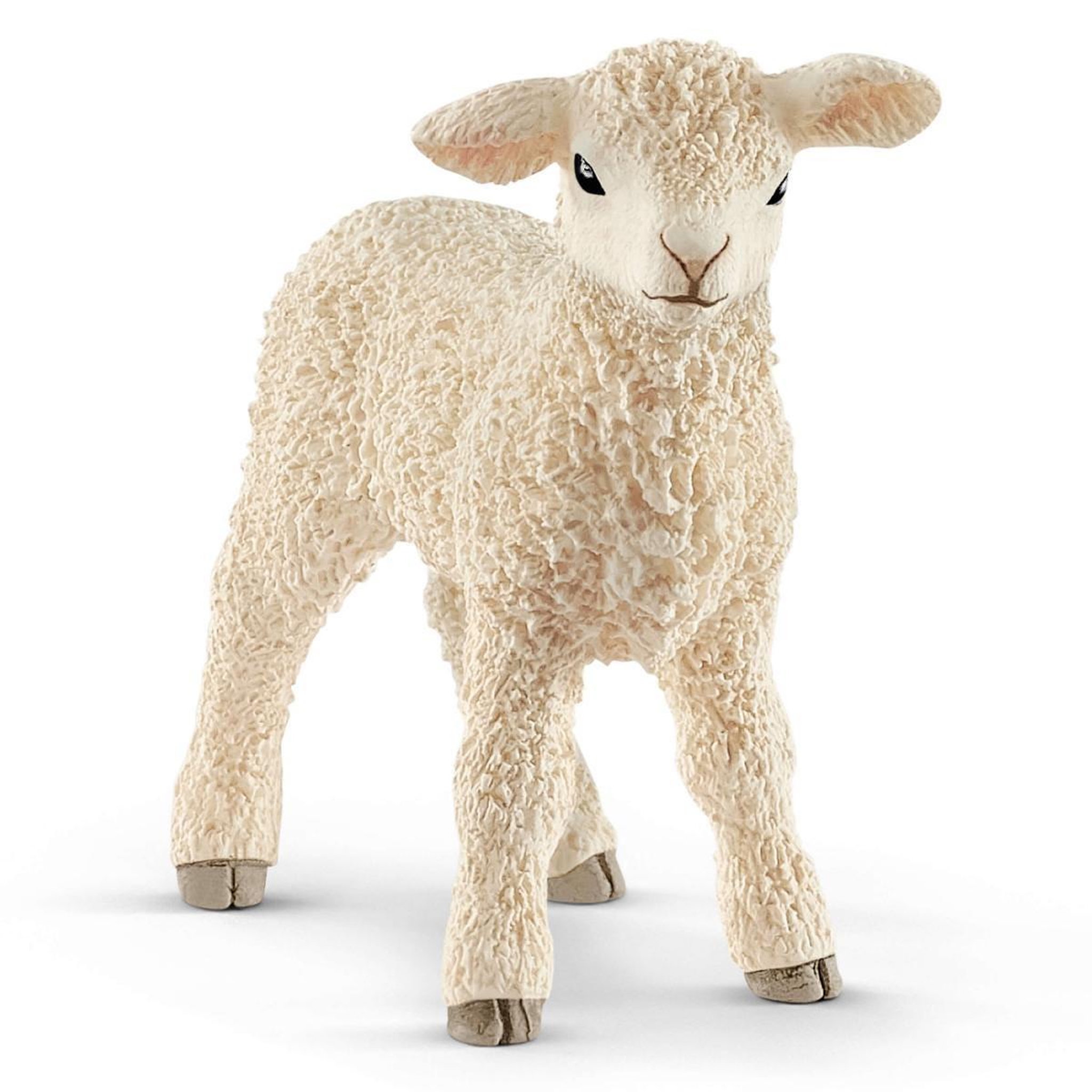 Voir la diapositive 2 : Schleich Schleich - schleich FARM WORLD Lamb 13883 13883