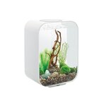 Oase Aquarium 15l led contours blanc - Life 15 LED white