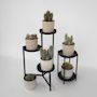 Voir la diapositive 4 : PLANT IN A BOX Mélange de cactus - Lot de 6 - Cactus - Hauteur 15-20cm - ⌀10,5cm