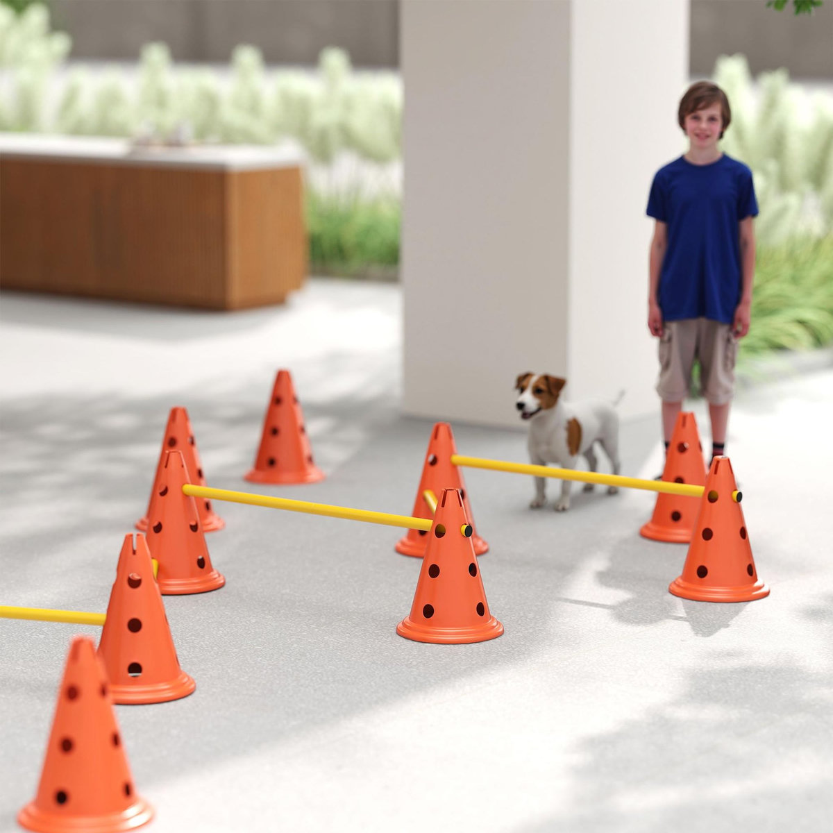 PAWHUT Set d'obstacles agility 12 cônes 6 piquets pour chien sac transport inclus