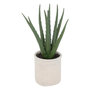 Voir la diapositive 1 : ATMOSPHERA Plante Artificielle en Pot  Aloe  29cm Vert & Beige