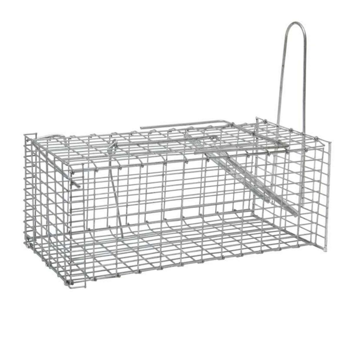  Nasse pour souris ou rat Werkapro 30,5 x 15 x 12,5 cm