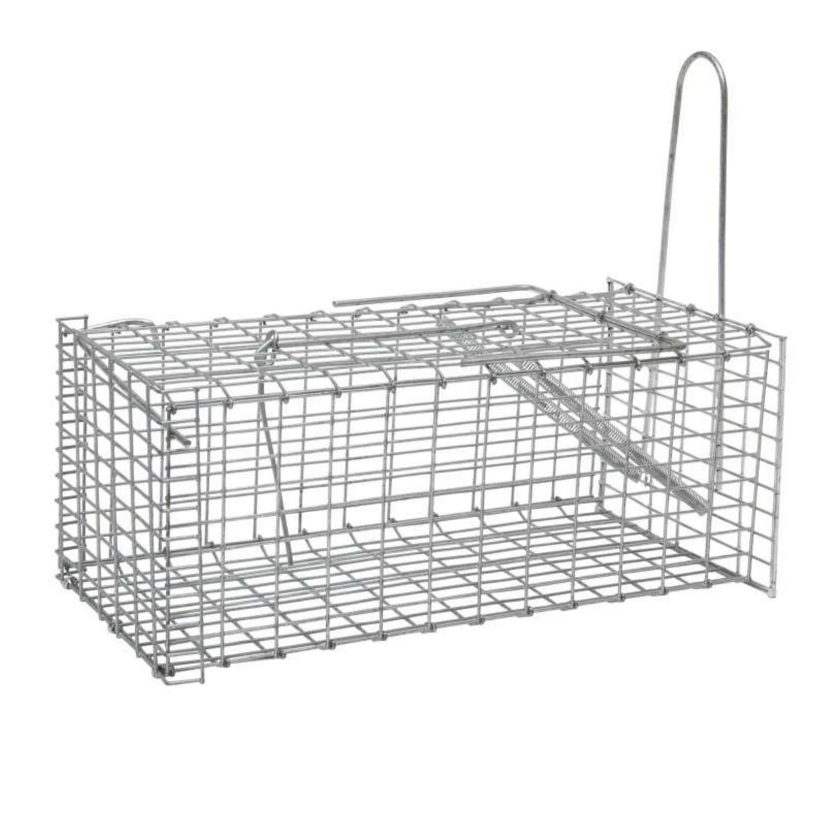  Nasse pour souris ou rat Werkapro 30,5 x 15 x 12,5 cm