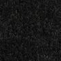 Voir la diapositive 2 : VIDAXL Tapis de porte noir 40x60 cm fibre de coco touffete