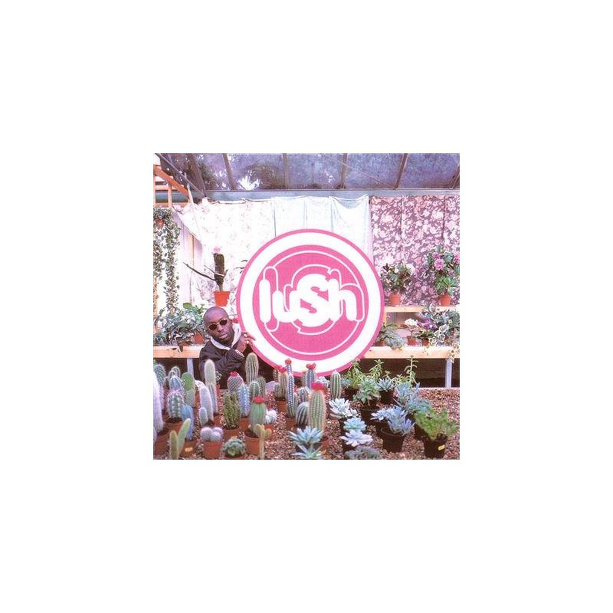Lp vinyle lush lovelife logo néon rose noir 33 tours