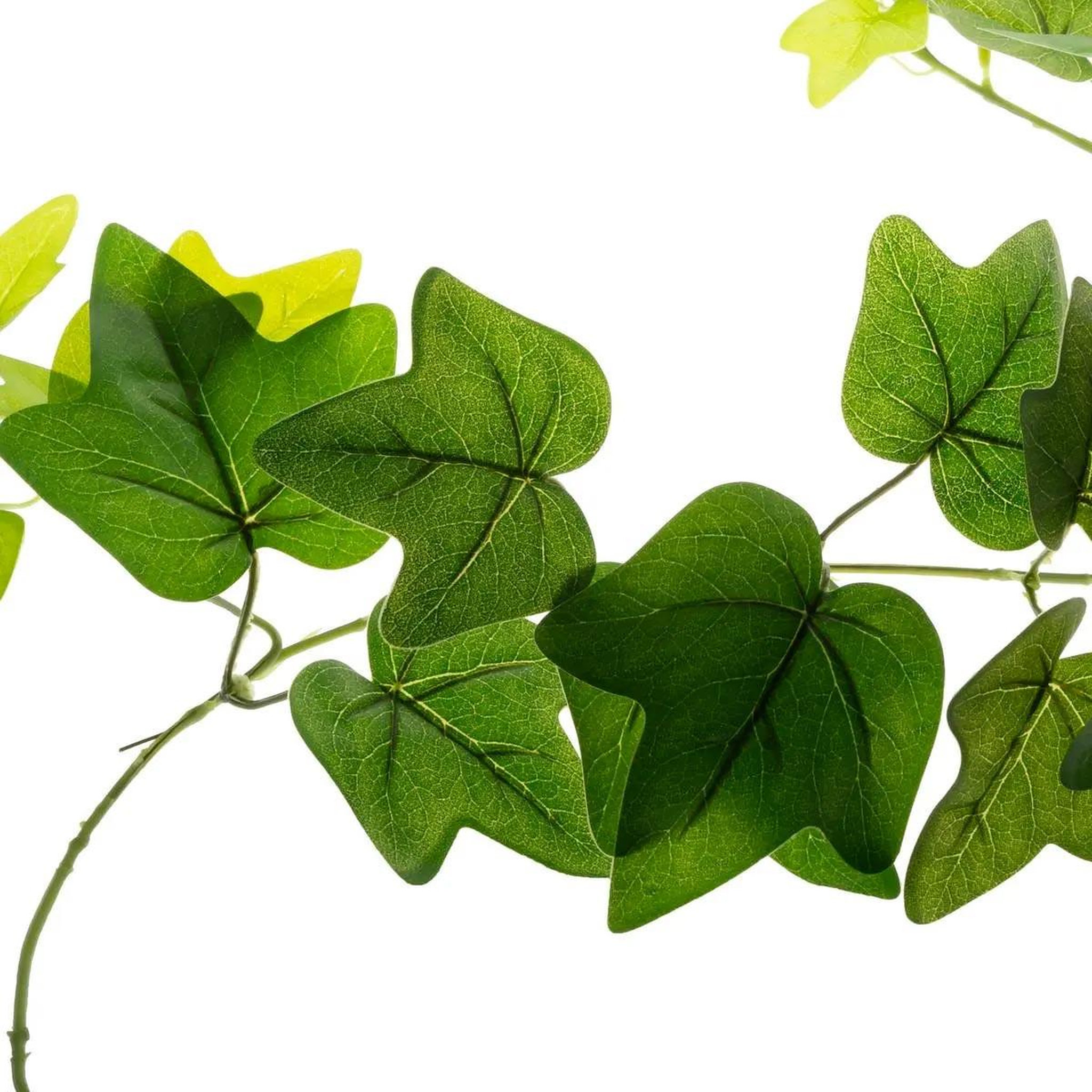 Voir la diapositive 2 : ATMOSPHERA Guirlande déco  lierre  190cm vert
