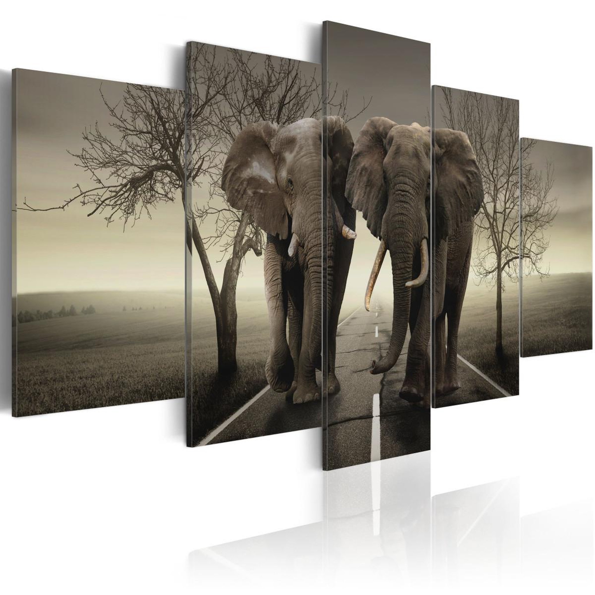 Paris Prix Tableau imprimé  it's a wild world!. Coloris disponibles : Multicolore