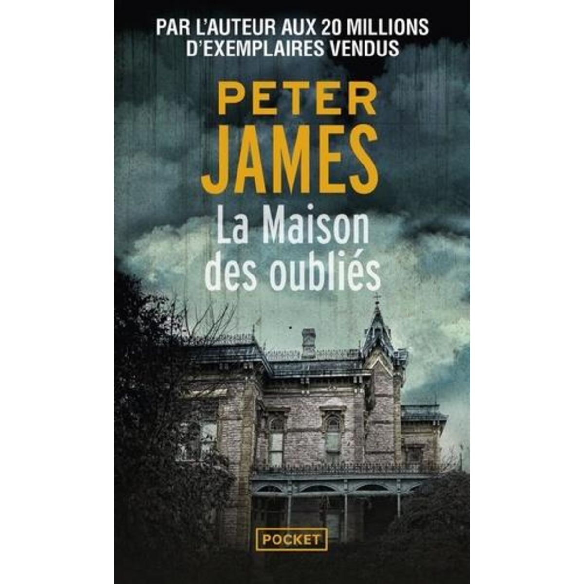 LA MAISON DES OUBLIES, James Peter