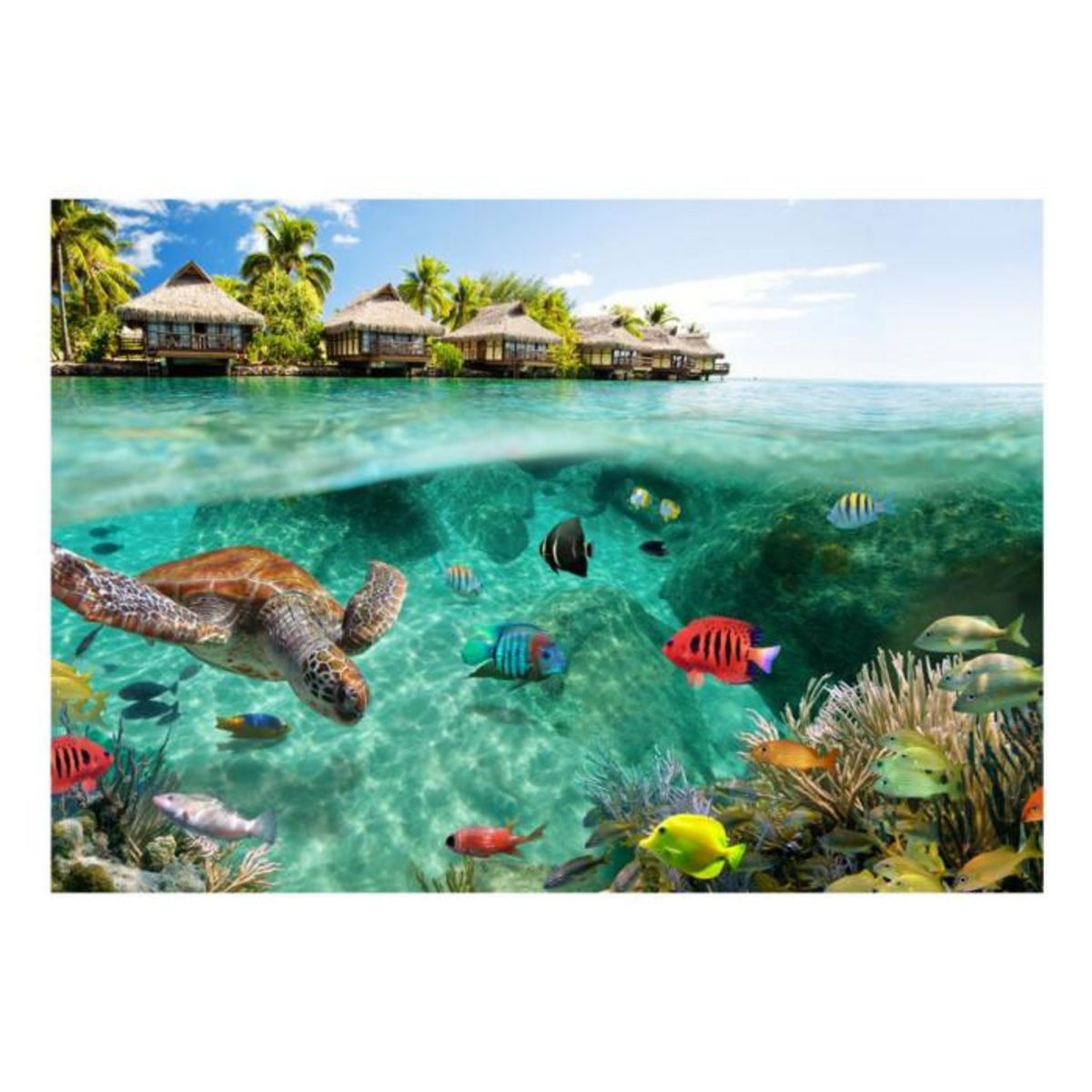 Paris Prix Papier Peint  Under the Surface of Water