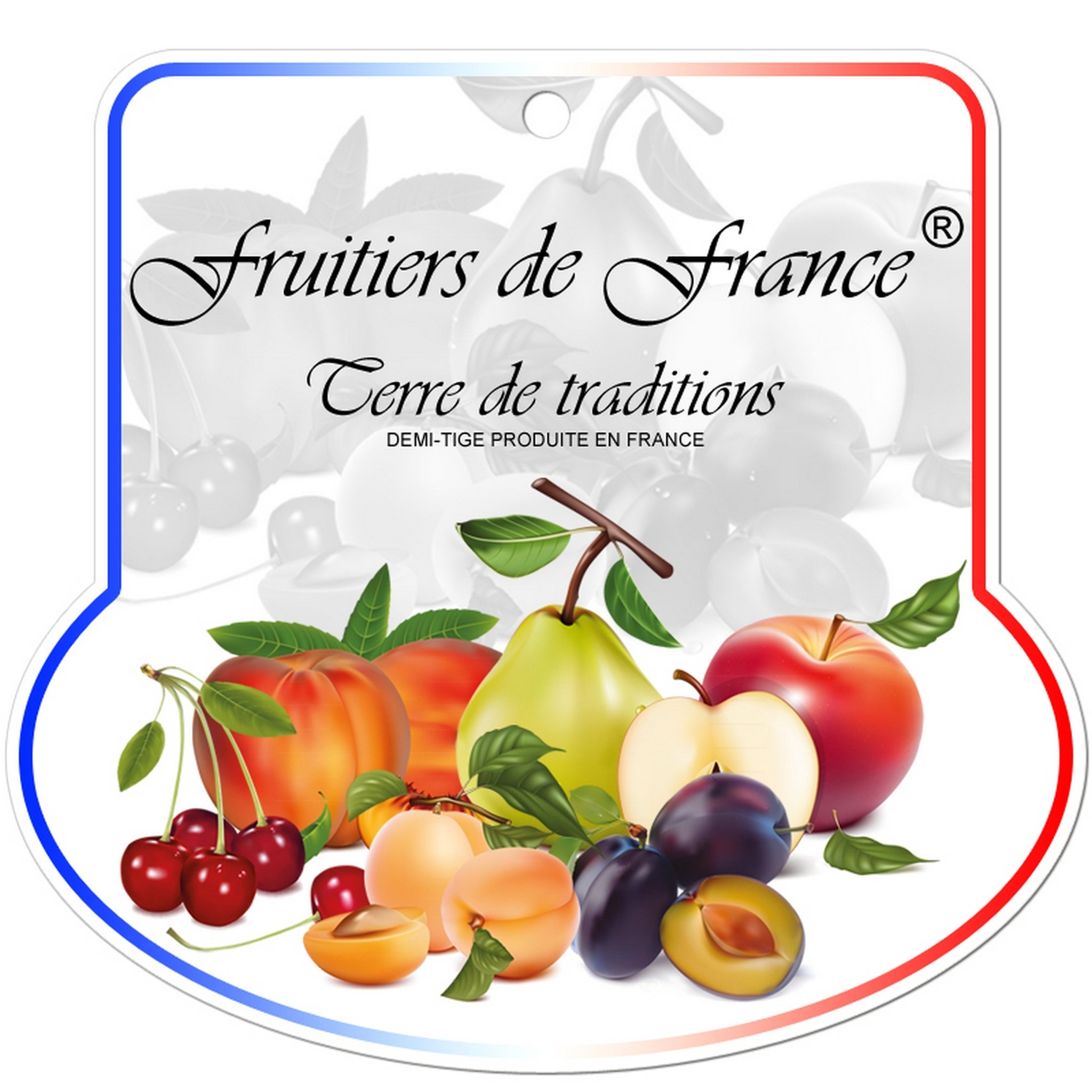 Voir la diapositive 4 : Nectarine Morton