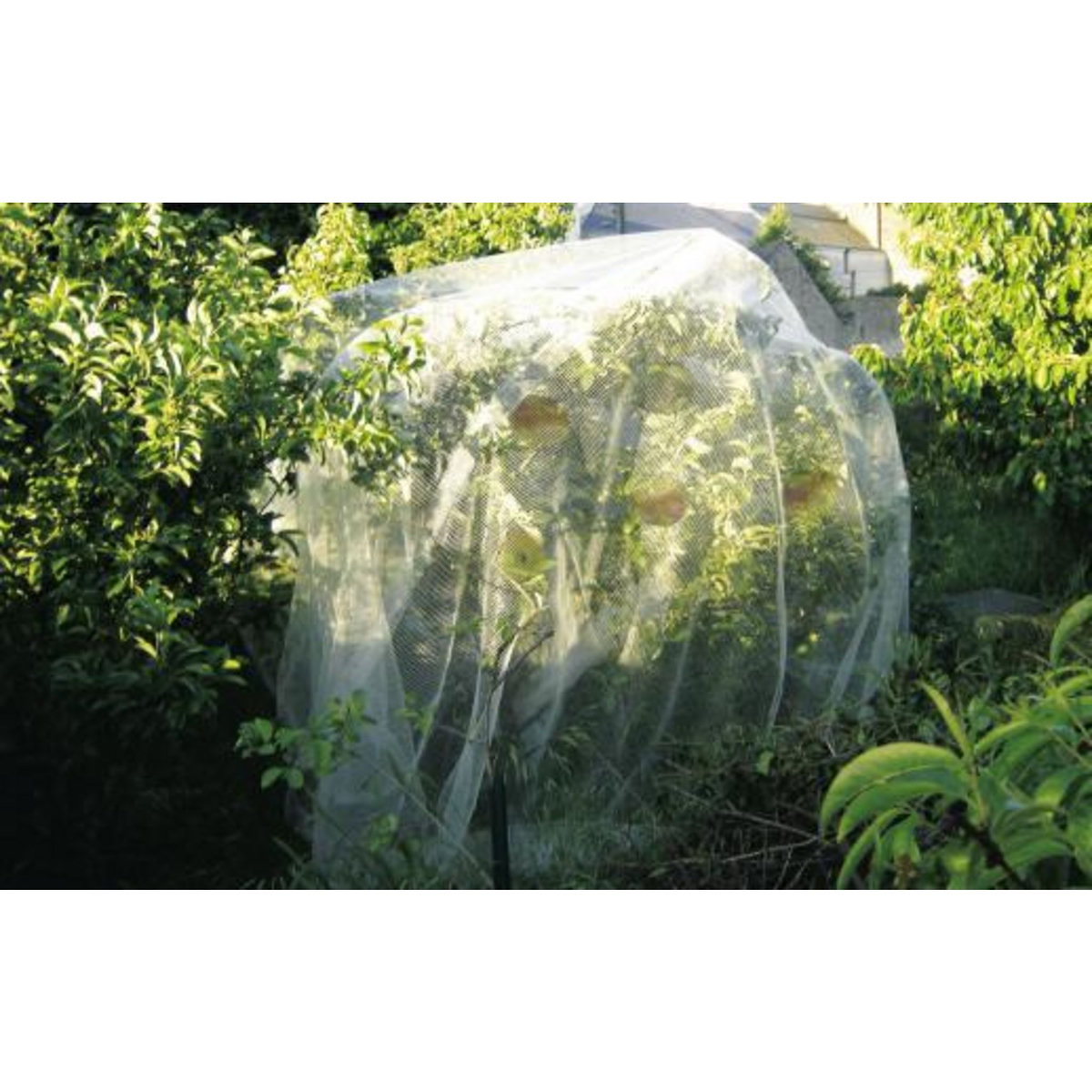 Nortene Filet de protection PROTECT FRUIT 5,2 x 5 m