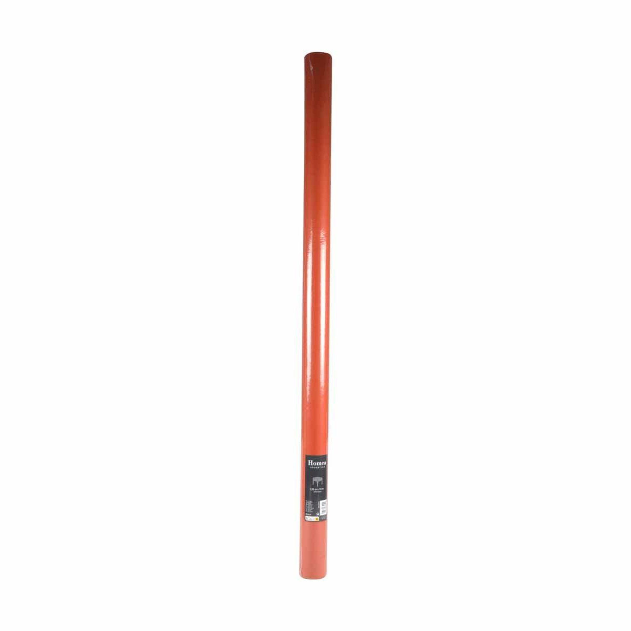 Voir la diapositive 2 : HOMEA Nappe plastique  intissé  1,20x10m terracotta