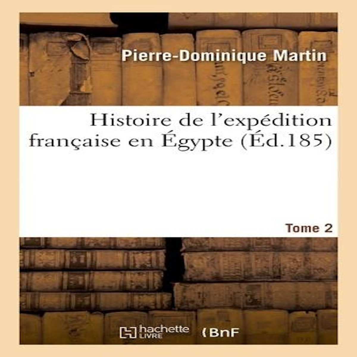 HISTOIRE DE L'EXPÉDITION FRANÇAISE EN ÉGYPTE T02, Martin Pierre-Dominique