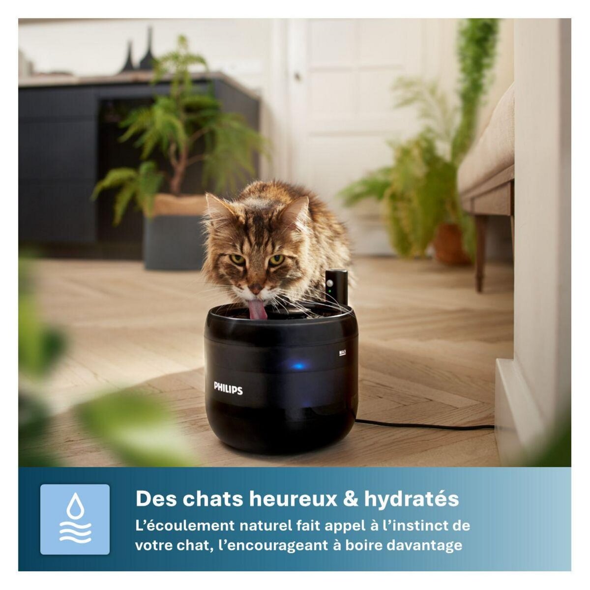 Philips Fontaine à eau pour chats Série Pet PAW3210/02 automatique noire 2.2L