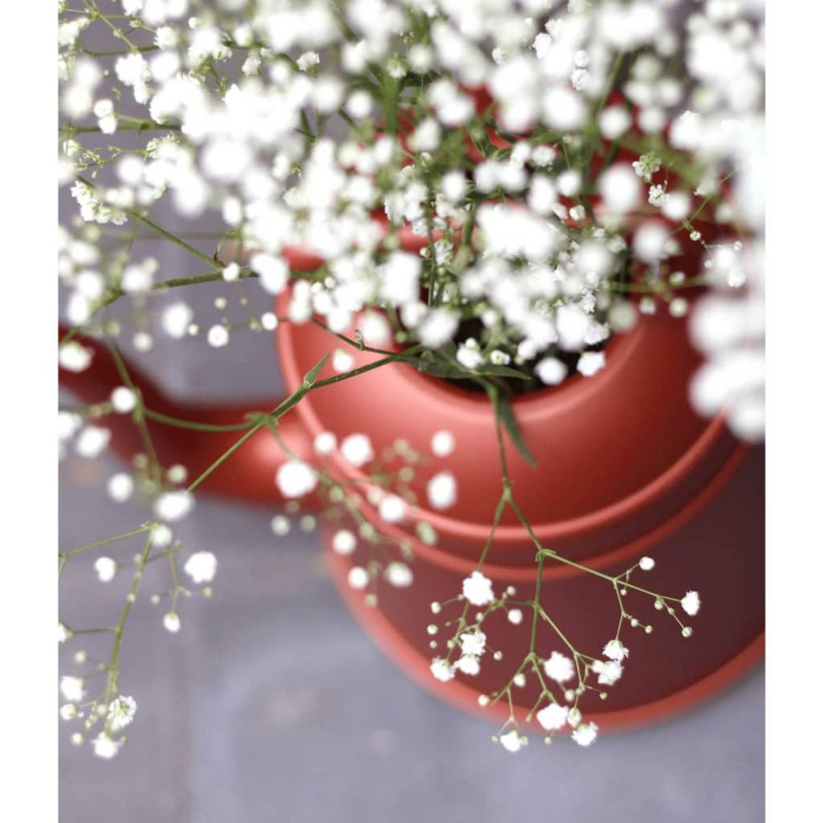 CAPI Capi Arrosoir Xala Lungo 12 L Cuivre