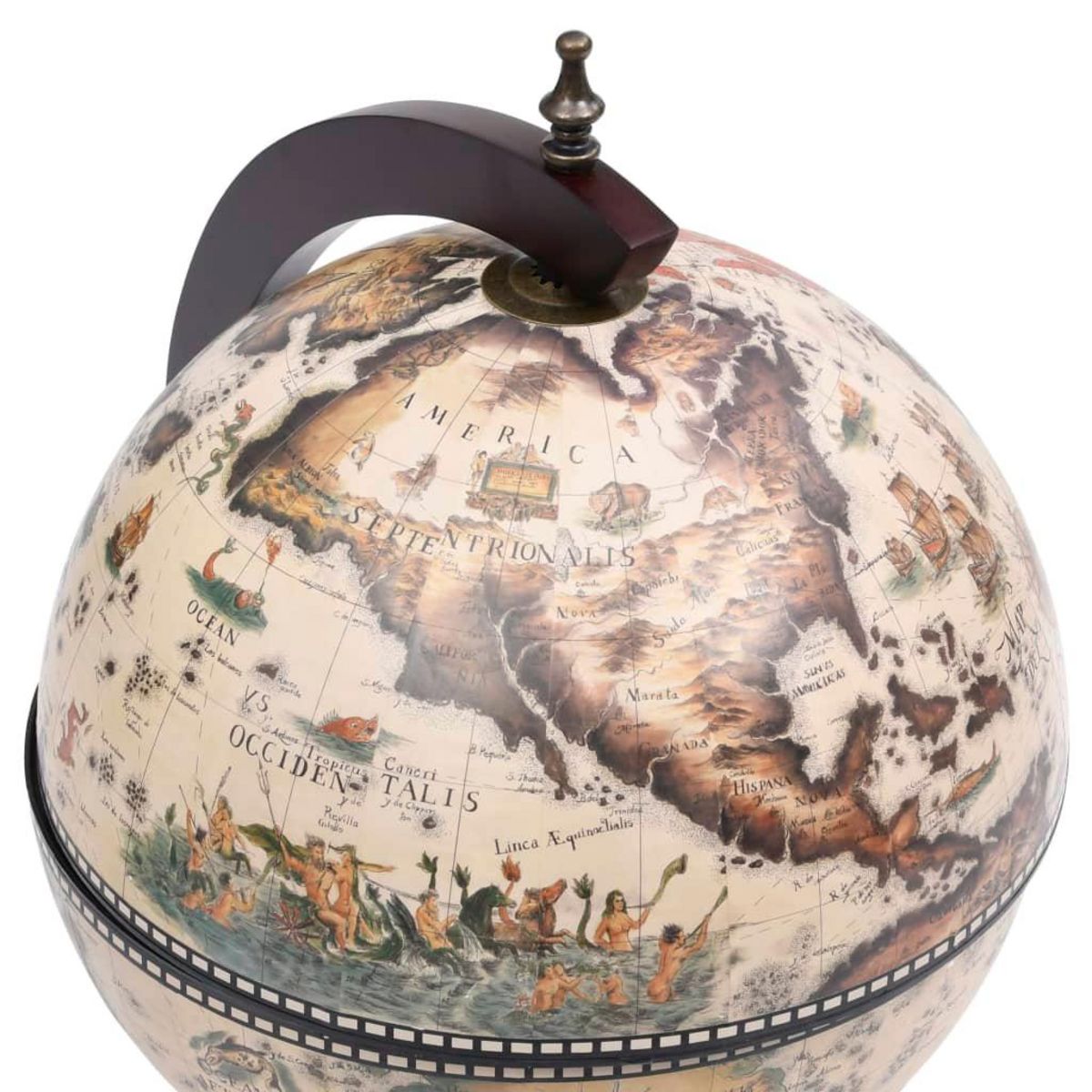 VIDAXL Support de vin globe de dessus de table Bois d'eucalyptus Blanc