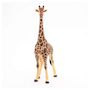 Voir la diapositive 4 : Papo 50149 girafe mâle figurine