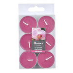 Paris Prix Lot de 12 Bougies Chauffe-Plat  Essentiel  3,5cm Orchidée