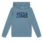 Voir la diapositive 1 : Jack & Jones Sweat Bleu Garçon Jack & Jones Forest
