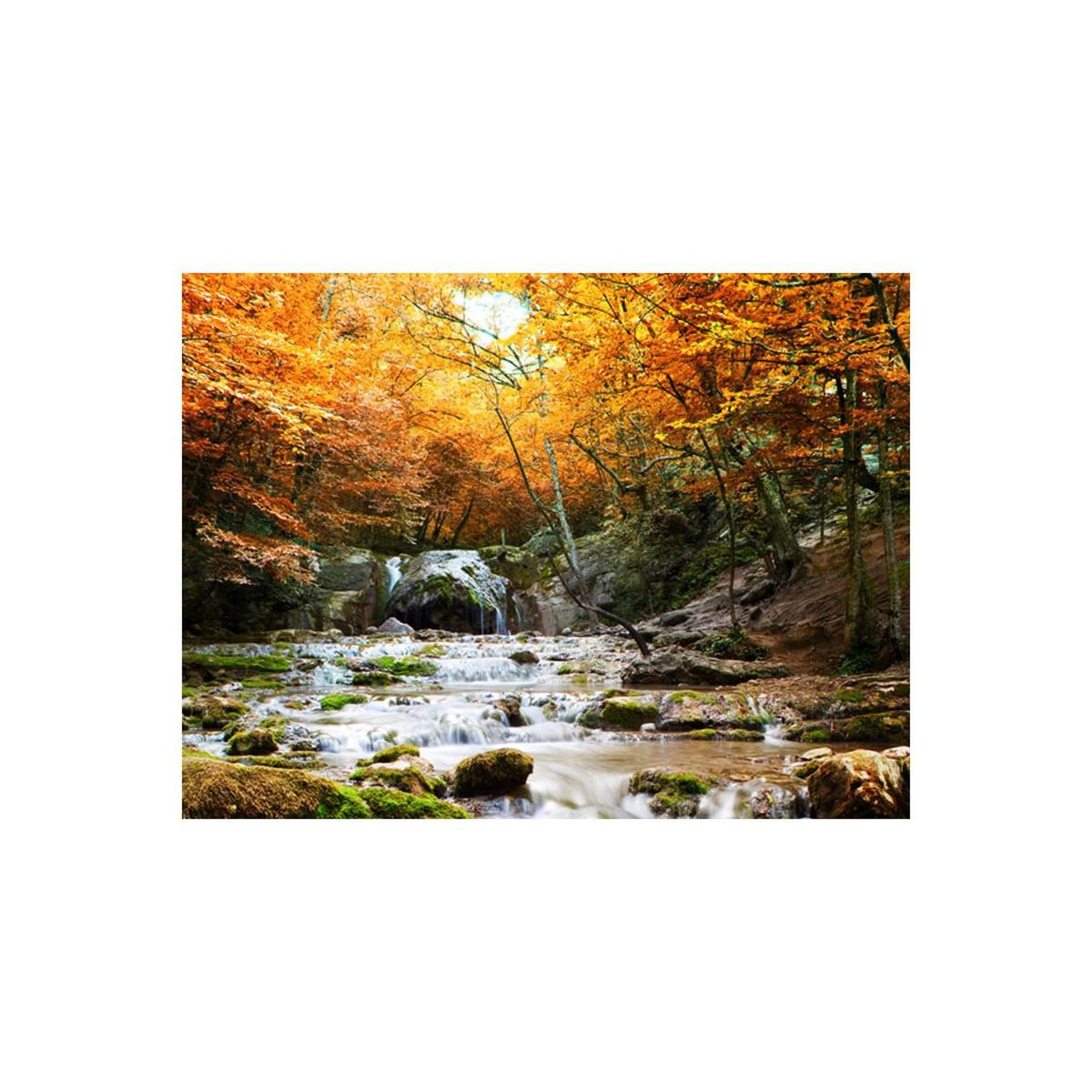 Voir la diapositive 2 : Paris Prix Papier peint  automne chute d'eau