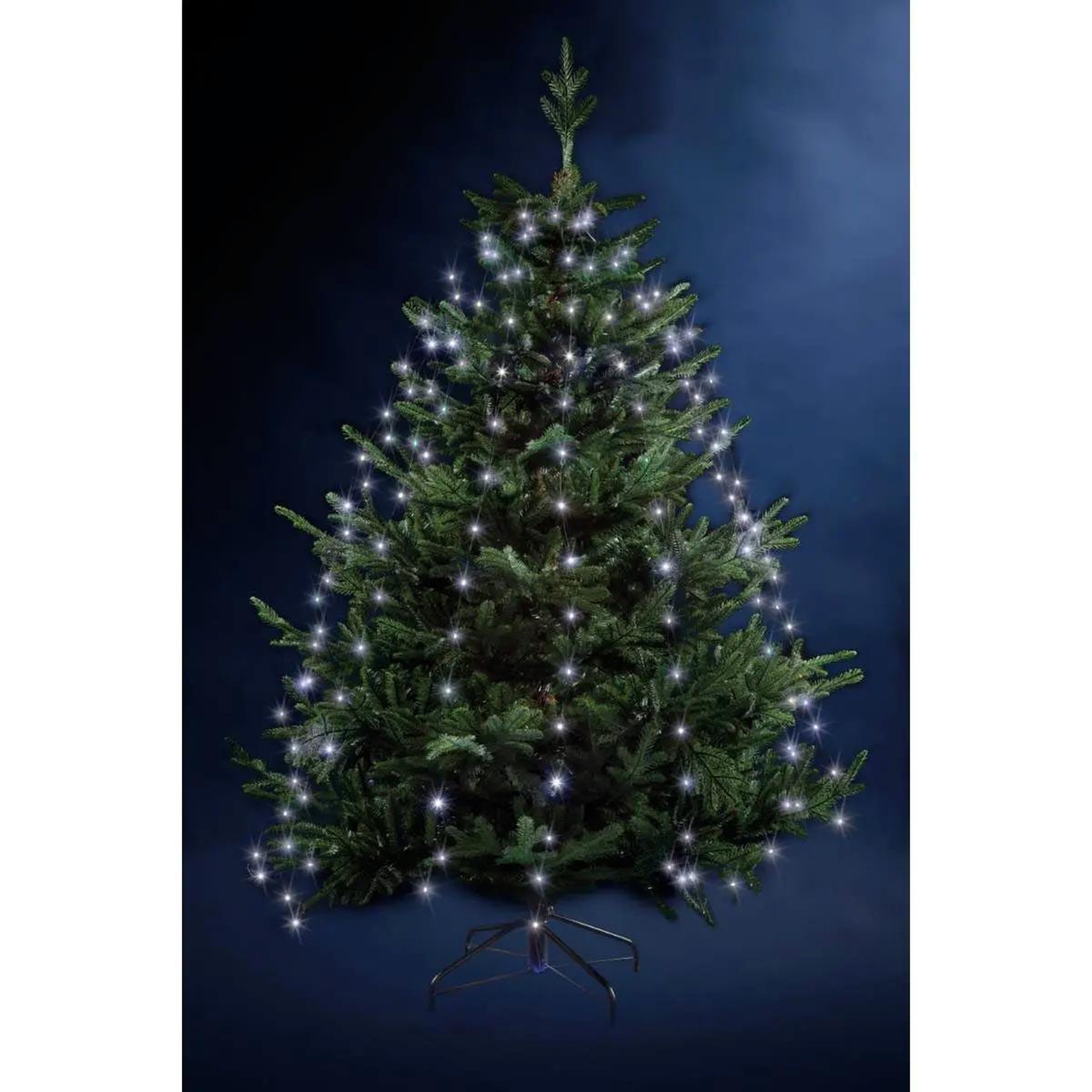 Voir la diapositive 2 : FEERIC LIGHT & CHRISTMAS Guirlande de noël  copp pluie  165cm blanc froid