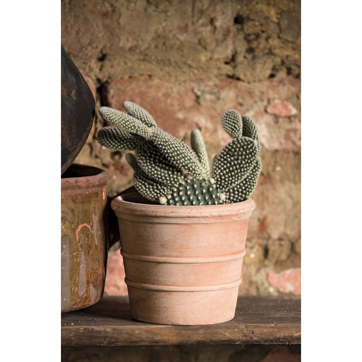 Pot en terre cuite - Siena Toscana - 11cm