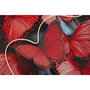 Voir la diapositive 4 : Paris Prix Tableau Imprimé à LED  Butterflies  60x90cm Multicolore