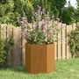 Voir la diapositive 1 : VIDAXL Jardiniere Rouille 40x40x45 cm Acier corten