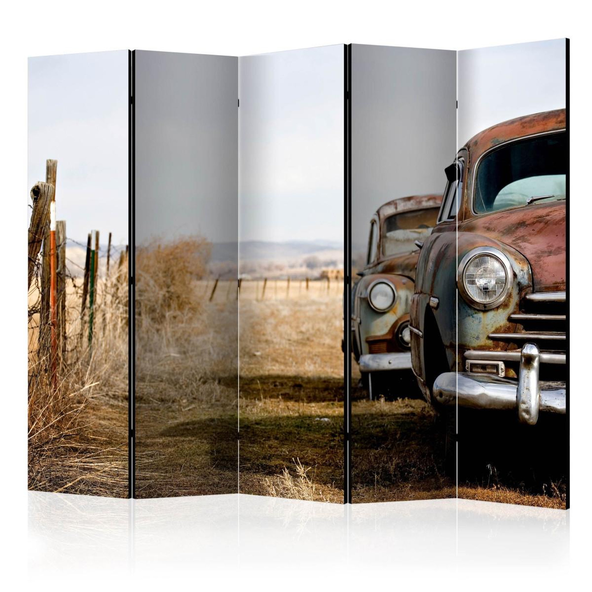 Paris Prix Paravent 5 volets  two old, american cars  172x225cm