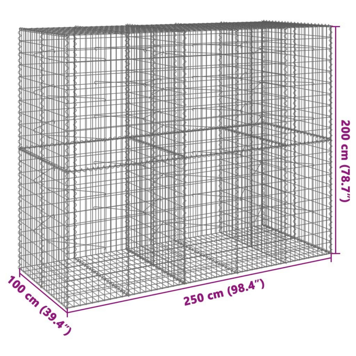 VIDAXL Panier gabion avec couvercle 250x100x200 cm fer galvanise