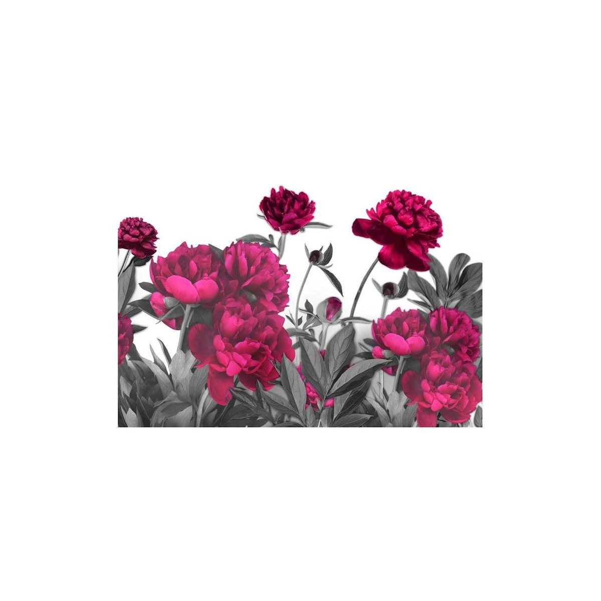 Paris Prix Papier Peint  Lush Meadow