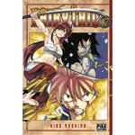 FAIRY TAIL TOME 47, Mashima Hiro