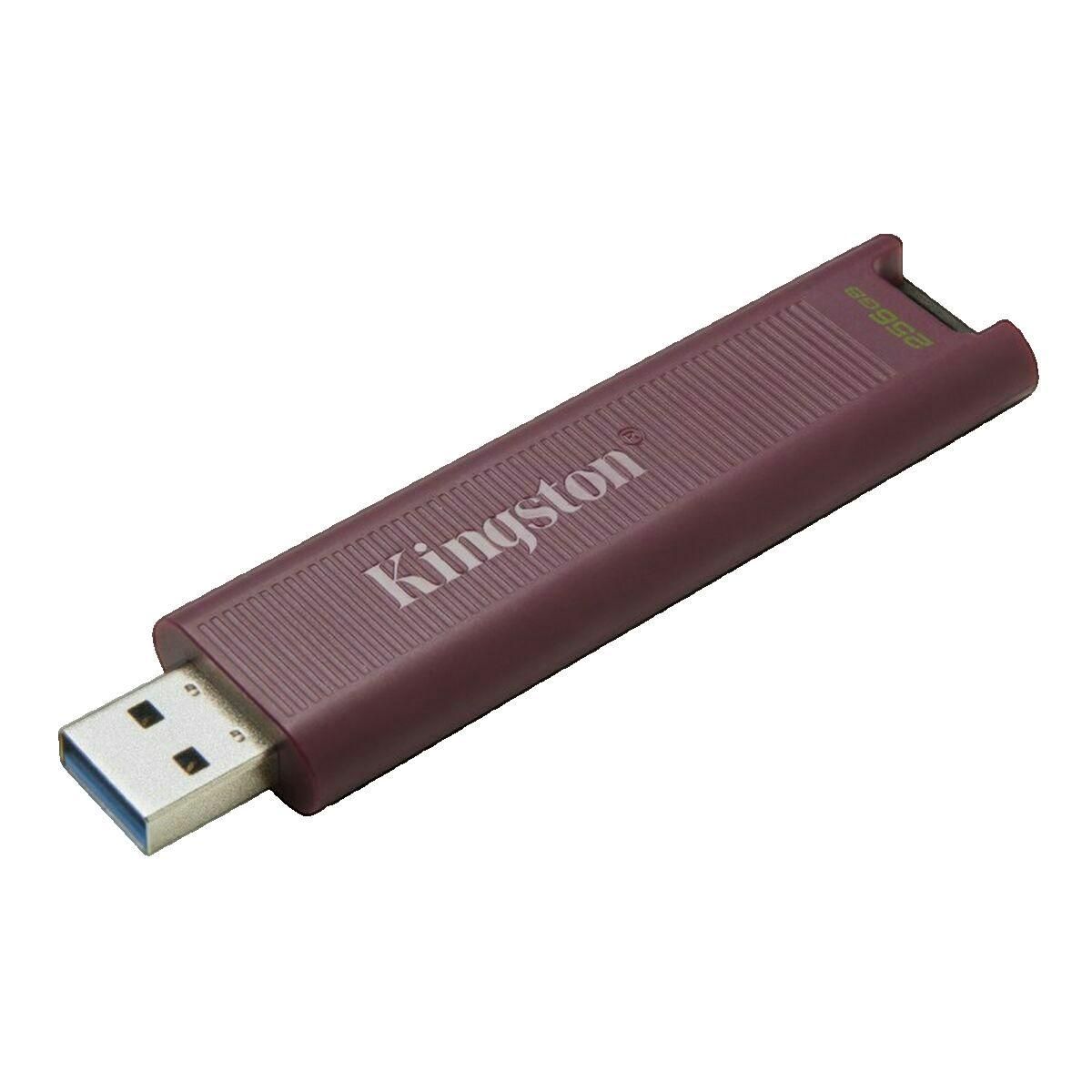 Kingston Clé USB Kingston 256 Go DataTraveler Max