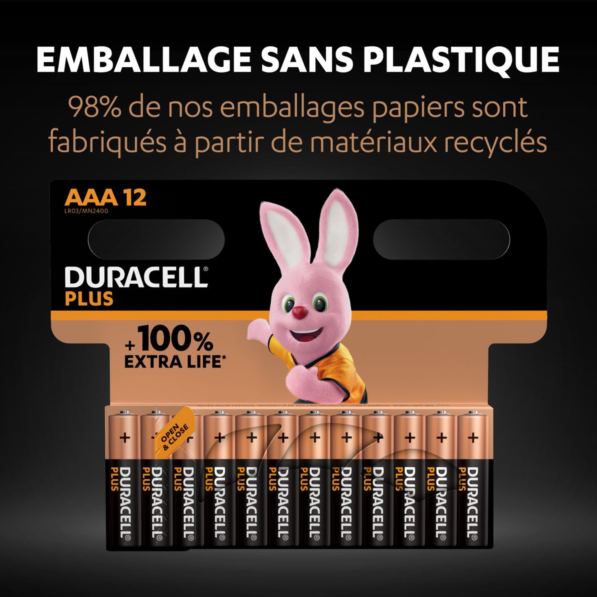 Voir la diapositive 5 : DURACELL Lot de 12 piles duracell alcalines plus 100% AAA