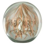 Paris Prix Presse-Papier en Verre  Capris  10cm Bronze