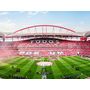 Voir la diapositive 4 : Smartbox Passion football : visite du stade de Luz du Benfica Lisbonne avec écharpe du club - Coffret Cadeau Sport & Aventure