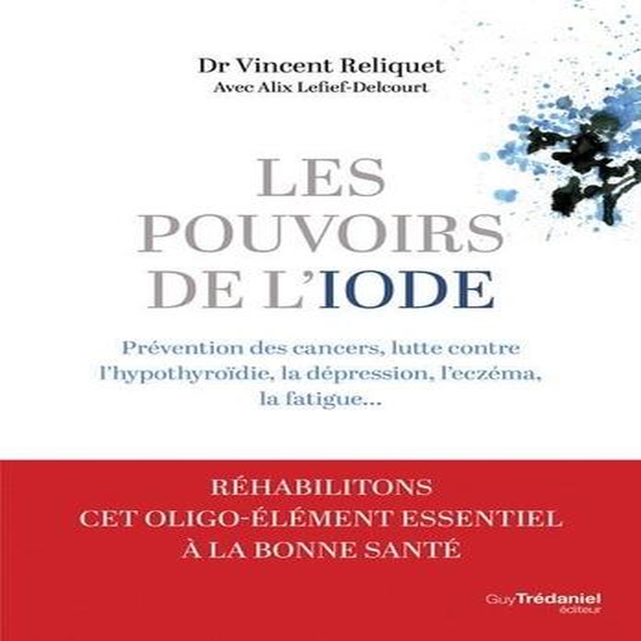 LES POUVOIRS DE L'IODE. PREVENTION DES CANCERS, LUTTE CONTRE L'HYPOTHYROIDIE, LA DEPRESSION, L'ECZEMA, LA FATIGUE..., Reliquet Vincent