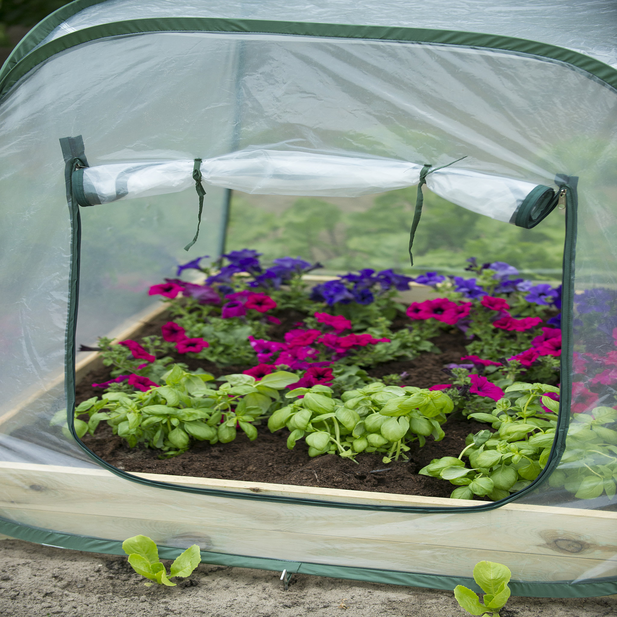 Voir la diapositive 3 : NATURE Serre de jardin pour carré potager - Pop-up