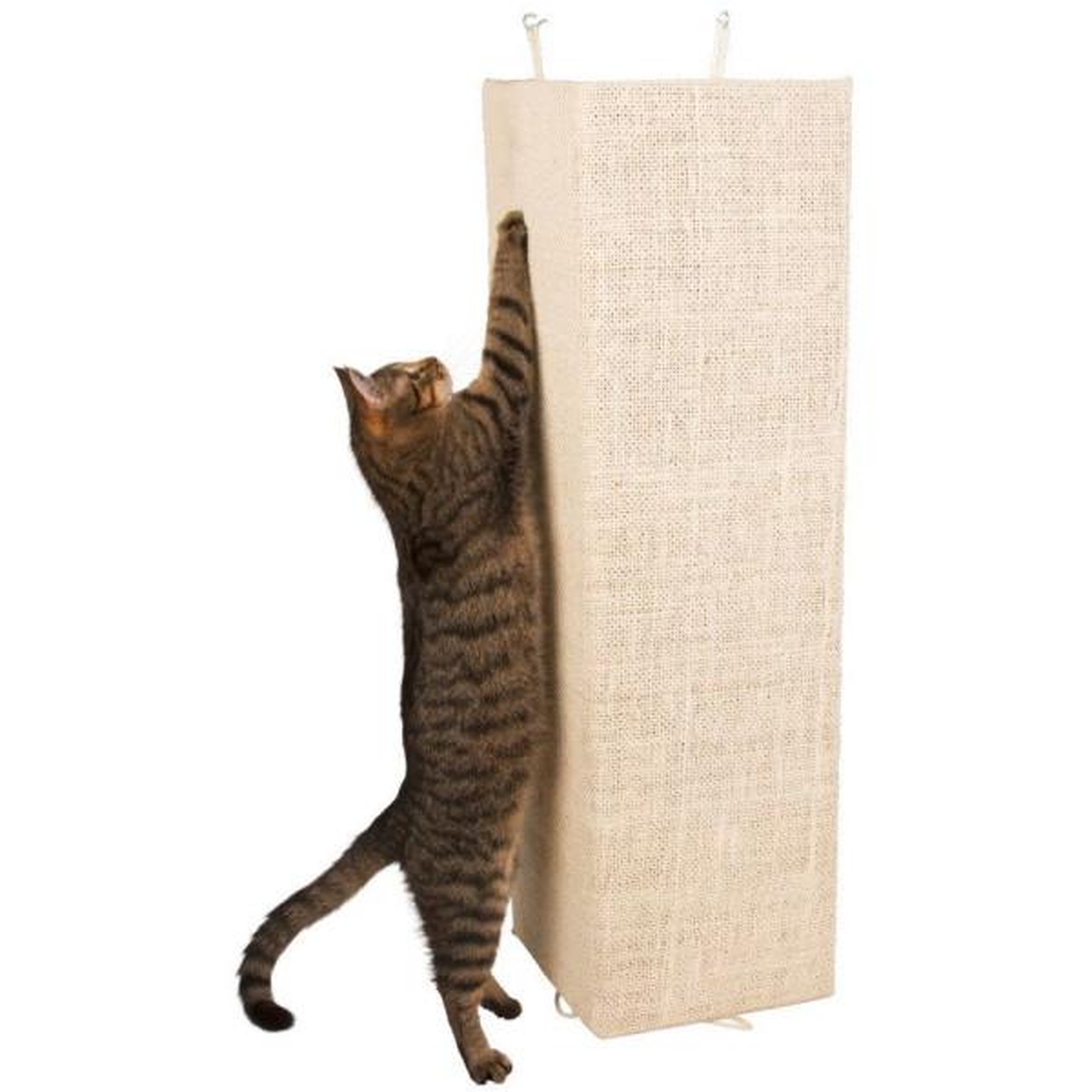 Voir la diapositive 2 : KERBL Griffoir - KERBL - Kevin - Beige - 100 × 56 cm