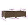 Voir la diapositive 6 : VIDAXL Lit sureleve 80x40x23 cm Polypropylene
