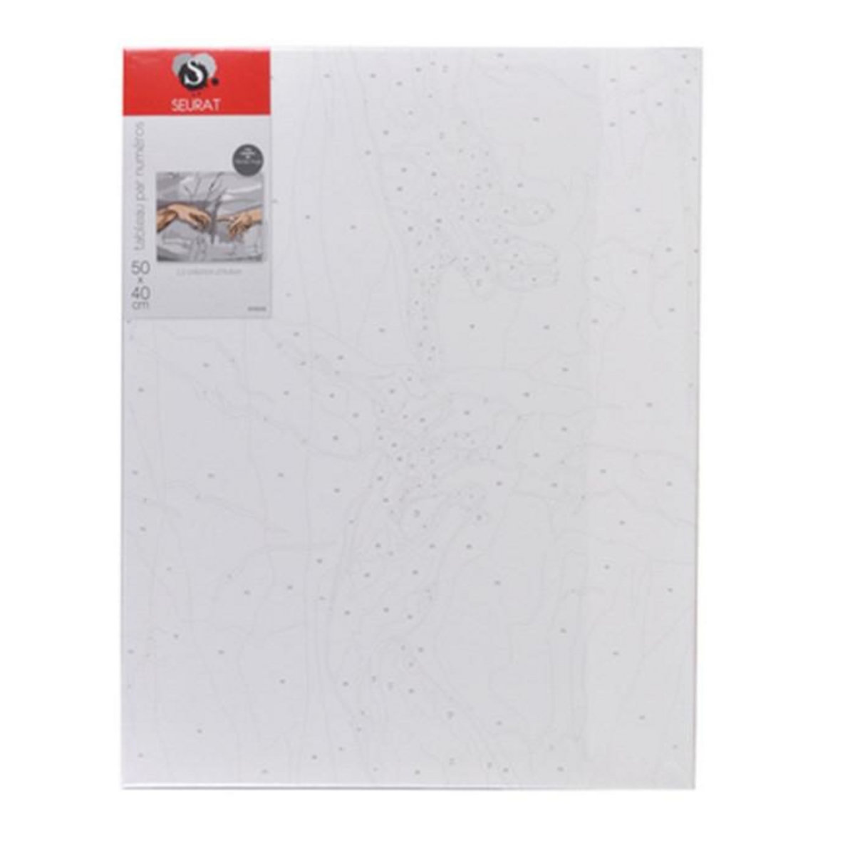 Paris Prix Peinture Par Numéro  La Création d'Adam  40x50cm Blanc