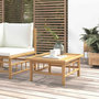 Voir la diapositive 1 : VIDAXL Table de jardin 65x55x30 cm bambou