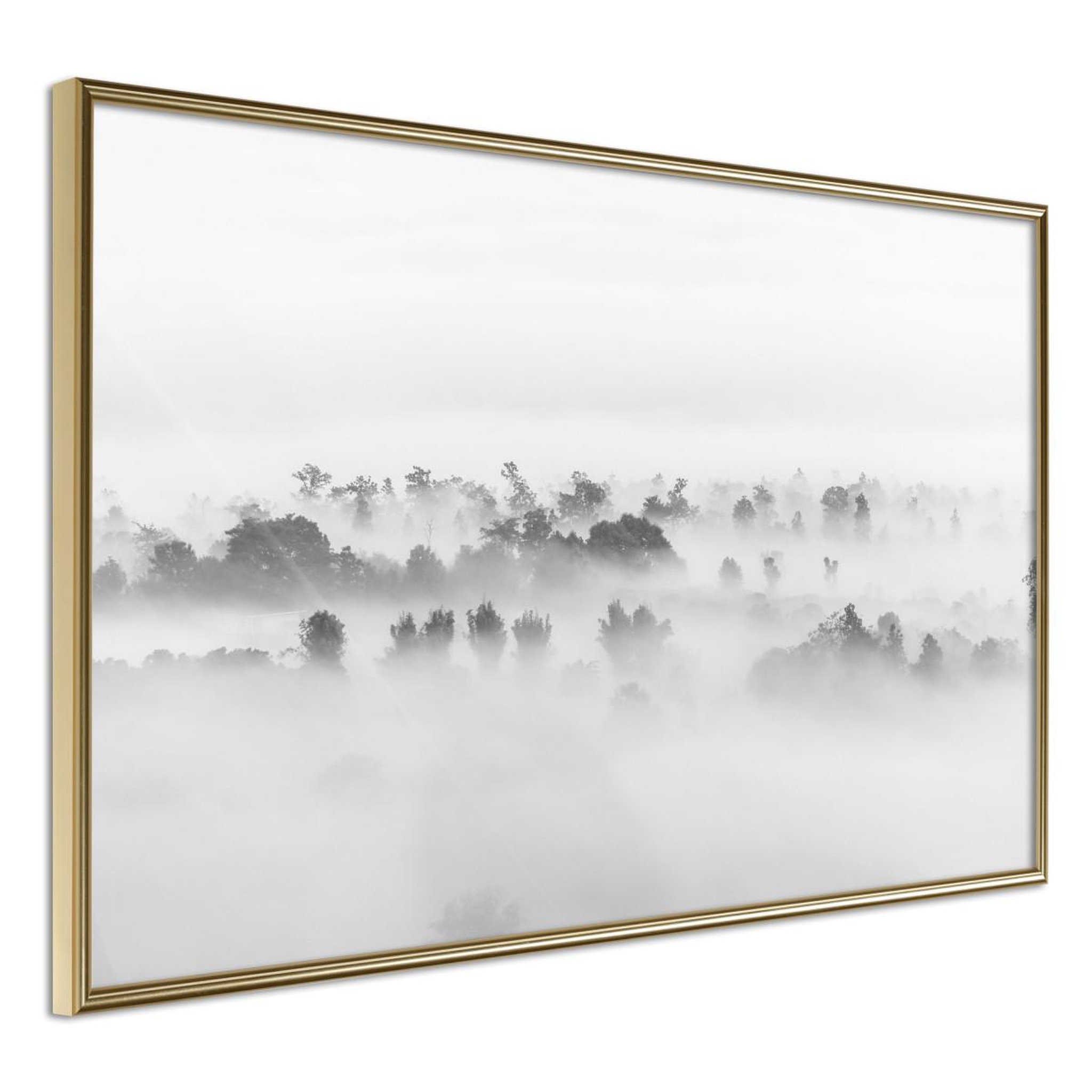 Voir la diapositive 1 : Paris Prix Affiche Murale Encadrée  Fog Over the Forest