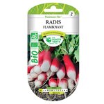 LES DOIGTS VERTS Graines de radis flamboyant BIO Les Doigts Verts