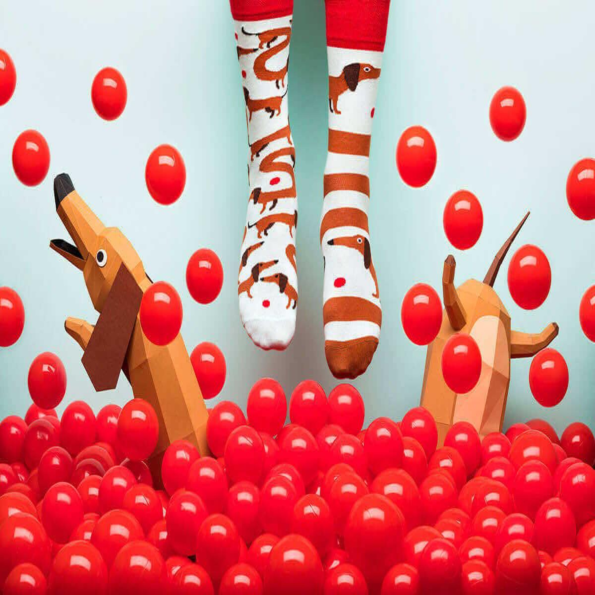 Voir la diapositive 3 : MANY MORNINGS Chaussettes teckel saucisse