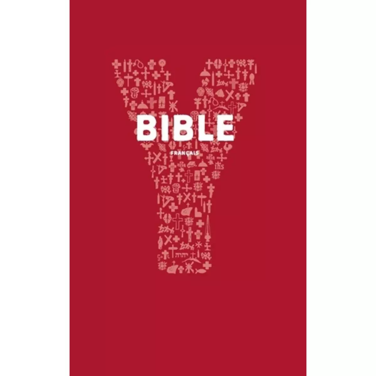  YOUCAT BIBLE. LA BIBLE DE L'EGLISE CATHOLIQUE POUR LES JEUNES, AELF