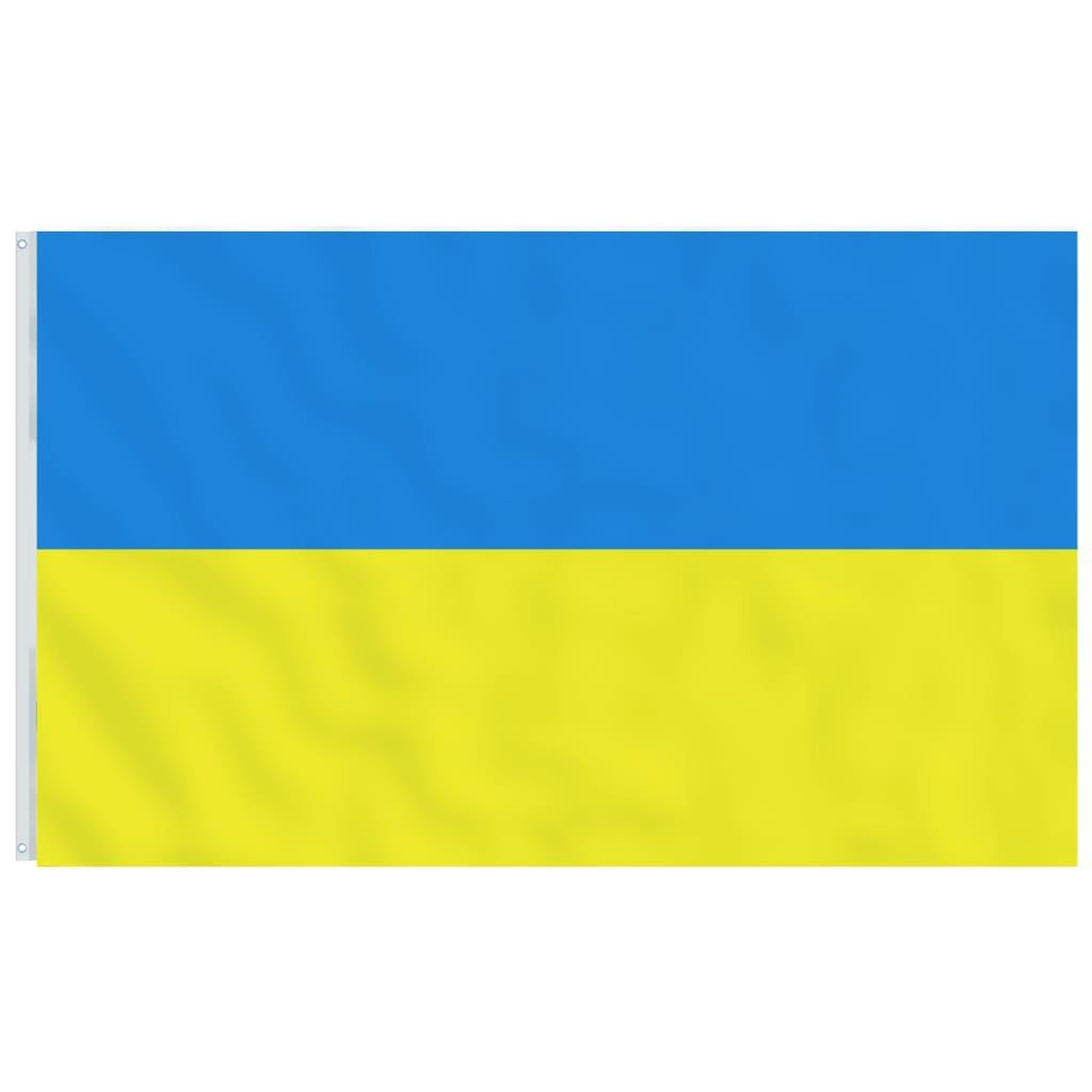 Voir la diapositive 2 : VIDAXL Drapeau de l'Ukraine avec œillets en laiton 90x150 cm