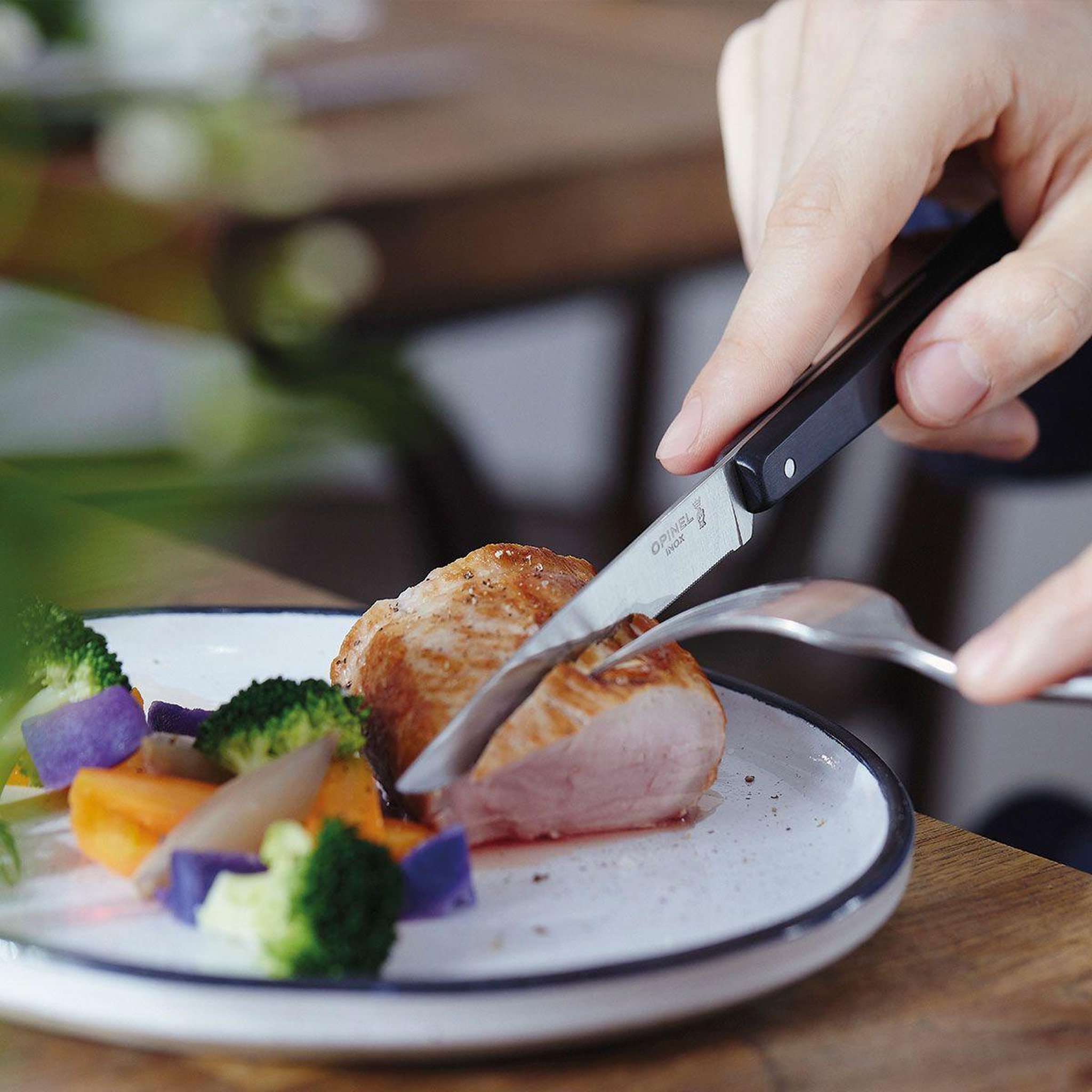 Voir la diapositive 5 : Opinel Coffret couteau bon appétit pro 125