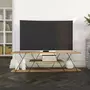 TOILINUX Meuble TV en mélaminé de style Industriel - L.120cm - Marron