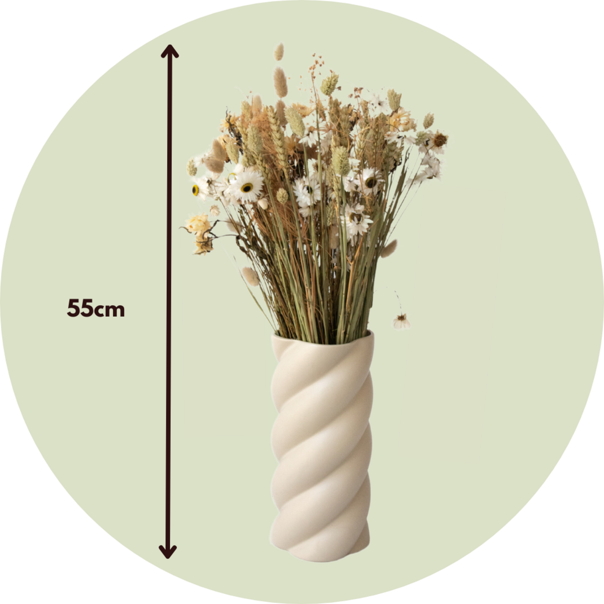 PLANT IN A BOX Fleurs séchées - Bouquet 'Large Anita'